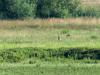 WWW_D75_0975