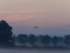 WWW_8D0_4928