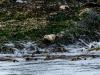 0702_WWW_8D22793