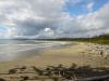 0771_WWW_8D23190