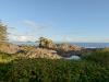 0799_WWW_8D23277