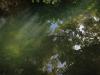 13-09-2013_kroatien_www_7jw2292