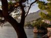WWW_BA1_8D0_4562