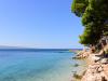 WWW_BA1_8D0_3229