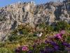 WWW_BA1_8D0_3284