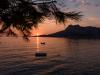 WWW_BA1_8D0_3419