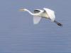 WWW_D5O_3376