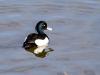 WWW_D5O_3520