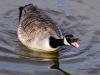 WWW_D5O_3549