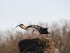 WWW_D50_9576
