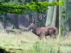 WWW_7JW7145